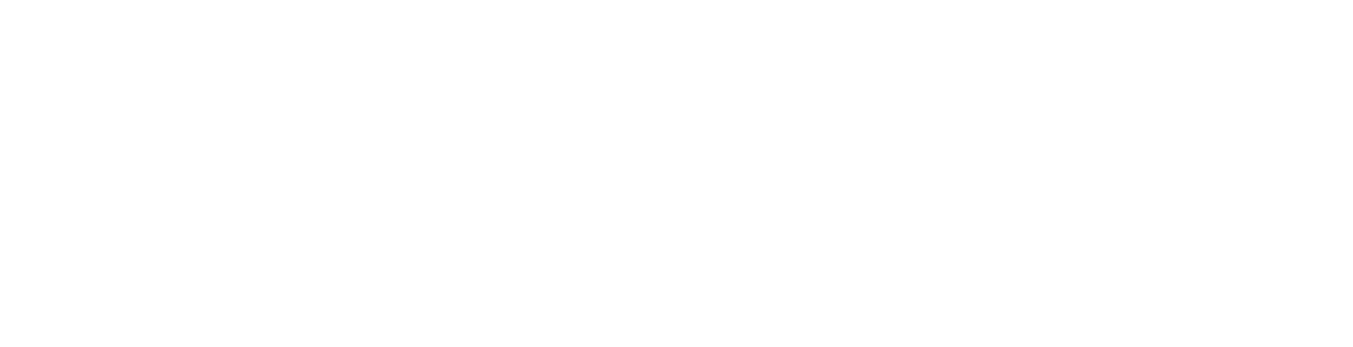 maverix white.png