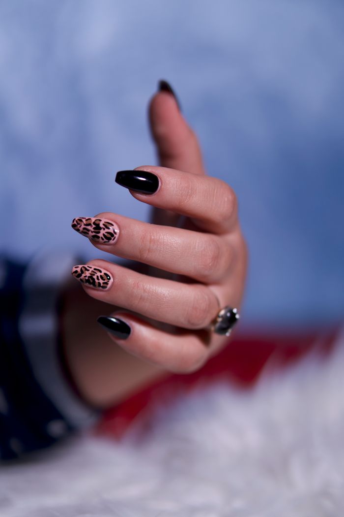 Elegant close-up of a hand showcasing black and leopard print nails, perfect for fashion and beauty themes.